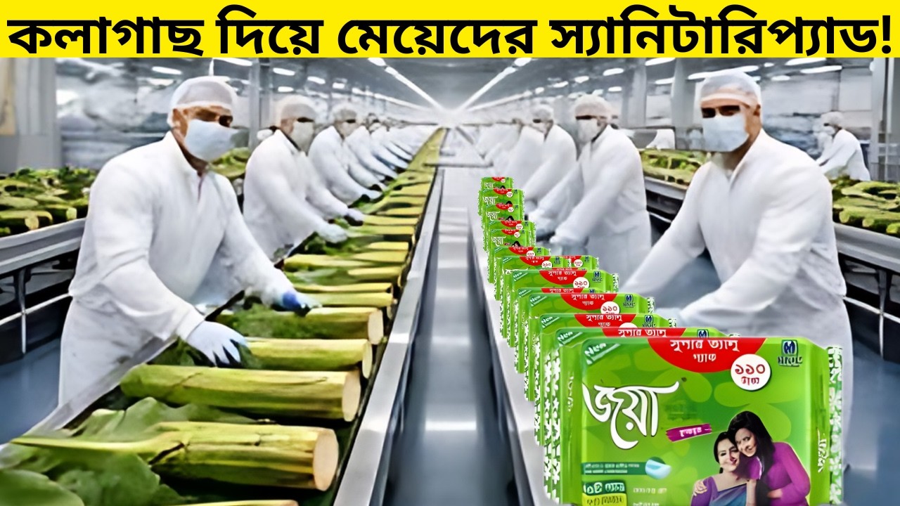 দেখুন কলা গাছের কাণ্ড থেকে মেয়েদের স্যানিটারি প্যাড তৈরির প্রক্রিয়া |Banana Stem Processing Factory