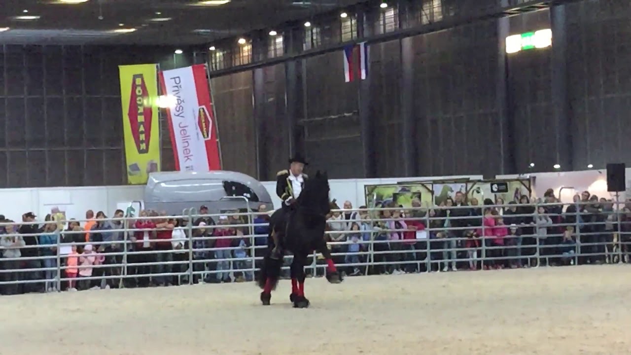 Jan Vavra a barokni kur