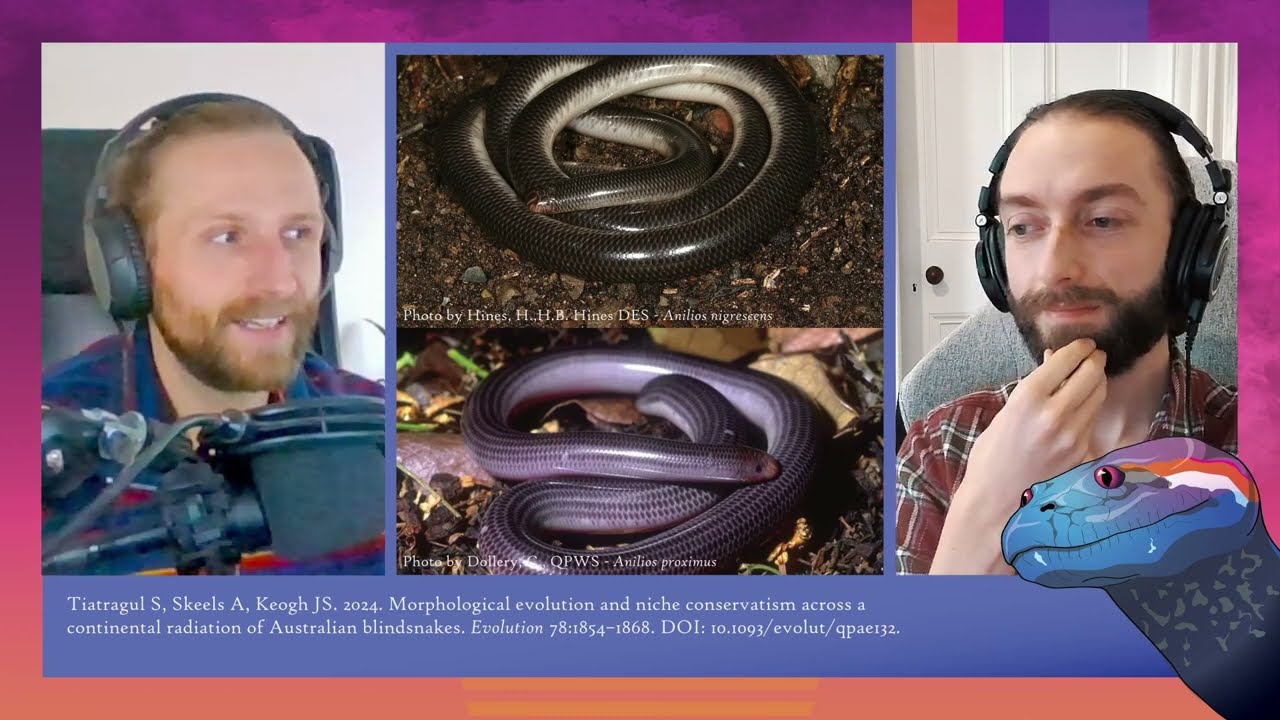 217 Blindsnakes are taking over Australia