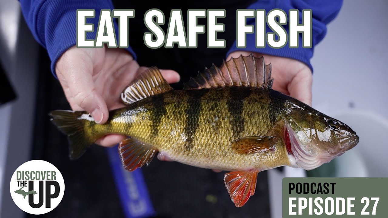 Eat Safe Fish - Full Interview