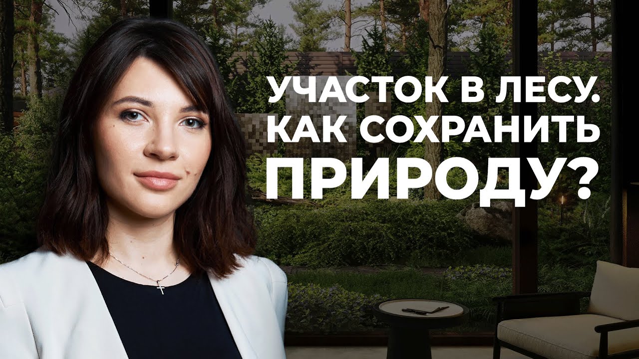 Участок в лесу. Как сохранить природу? 5 правил