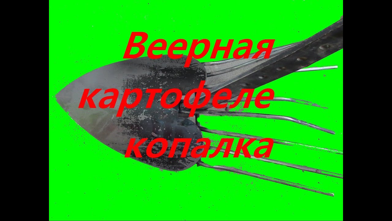 Веерная картофеле копалка!\Fan Potato!