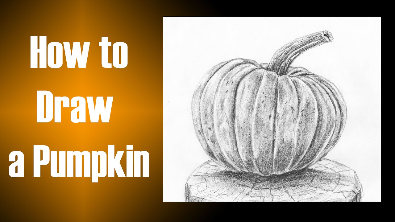 How to Draw a Pumpkin Realistically with Easy Steps