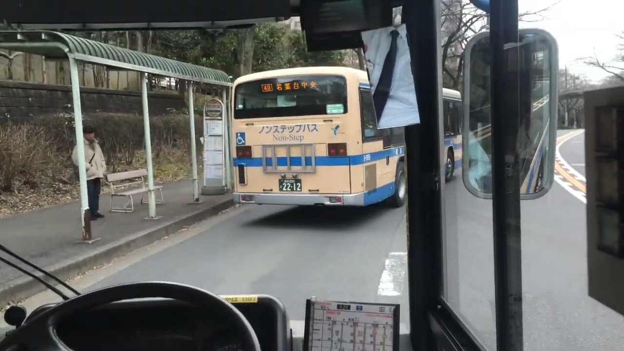 アイルトン・ハタのペタノン
