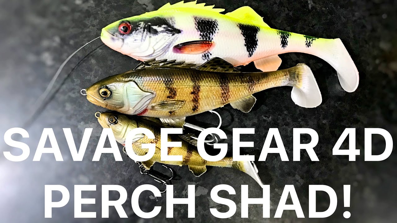 Canal Pike Fishing with the Savage gear 4D Perch Shad! First look/ Review