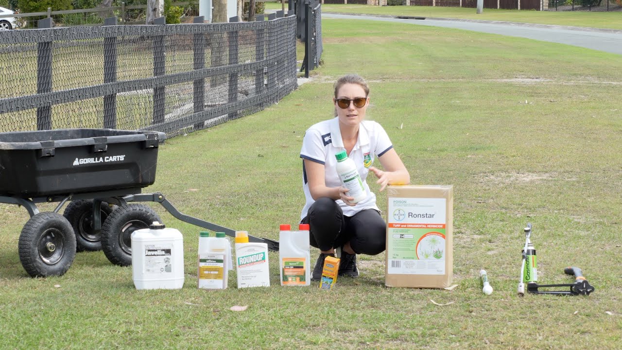 Weed Control // Preparing for Lawn Reno