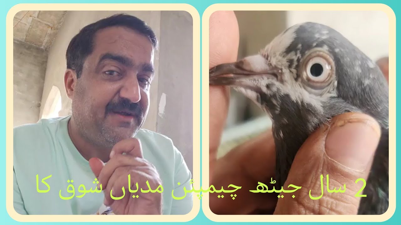 Ustad Rana Munna | 2 saal jaith champion madeyan shaouq ka