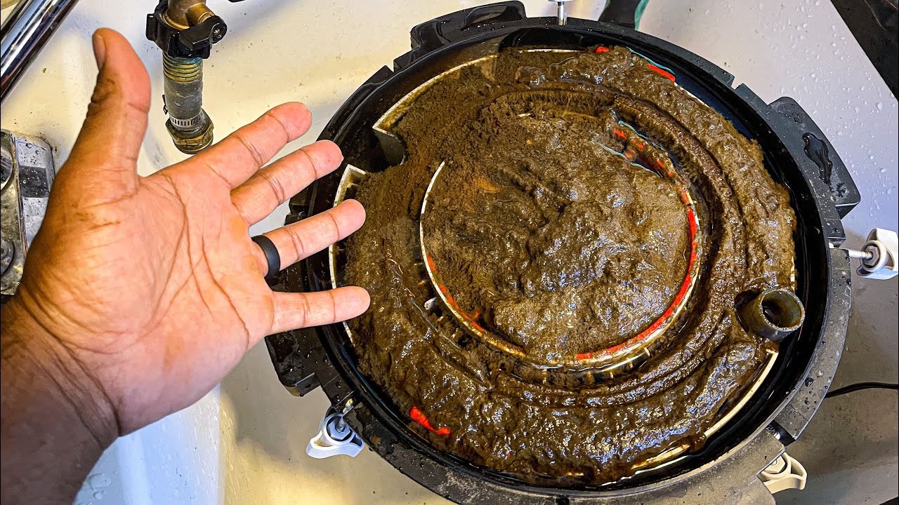 I Waited Too Long to Clean My Aquarium Filter...