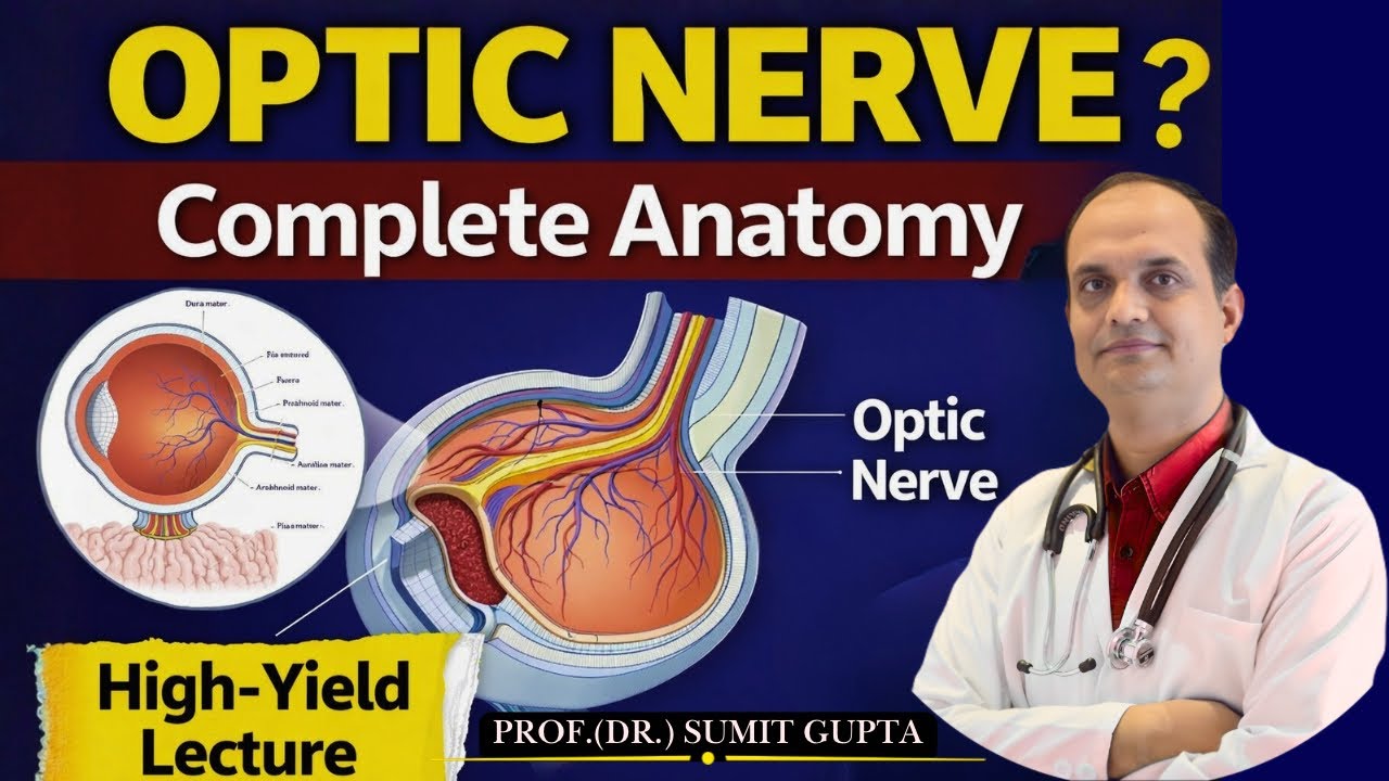 Optic Nerve (CN II) Explained | Anatomy, Course, Blood Supply & Clinical Correlates | Dr SUMIT GUPTA