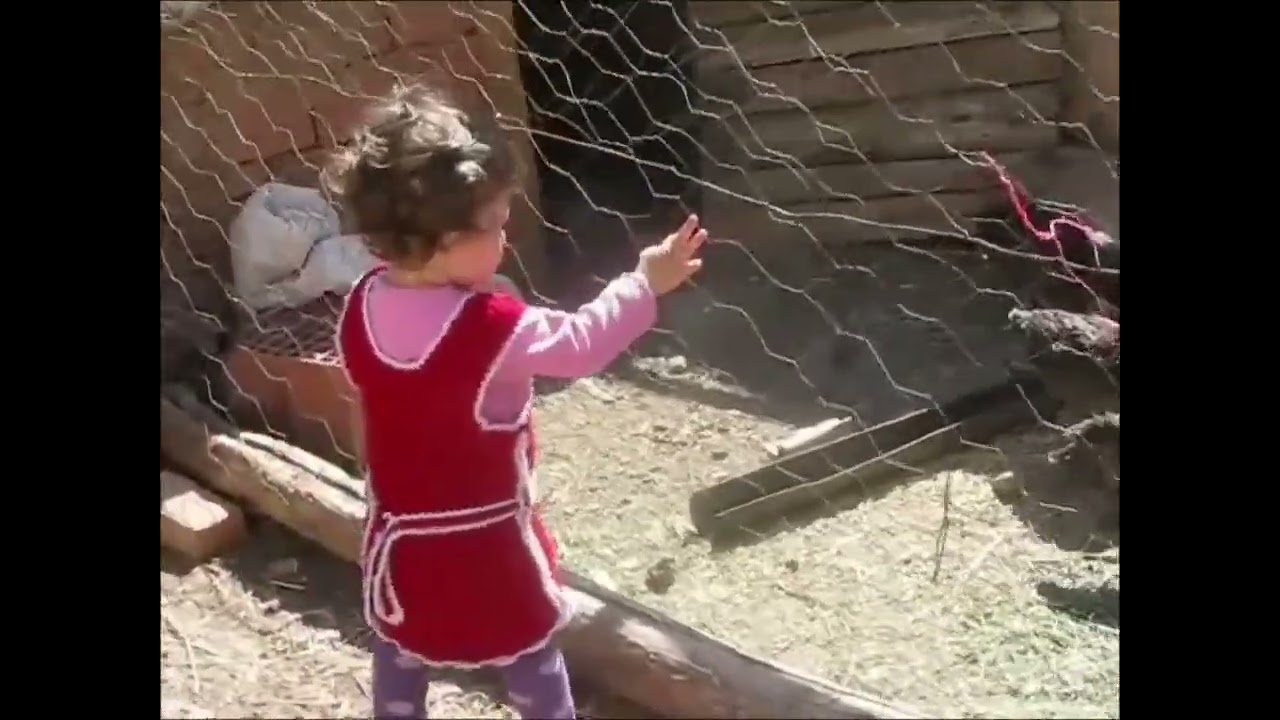 26 Aralık 2024
