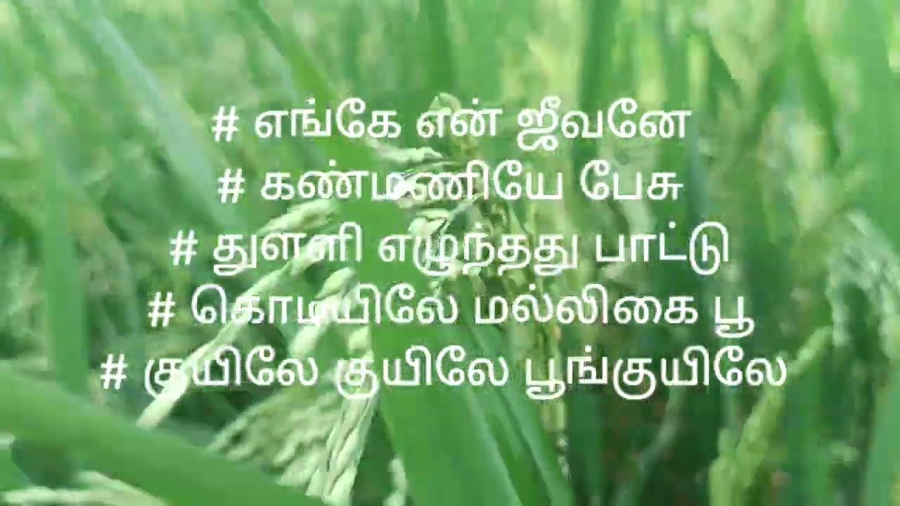 தமிழ் இசை காதல் பாடல்கள்