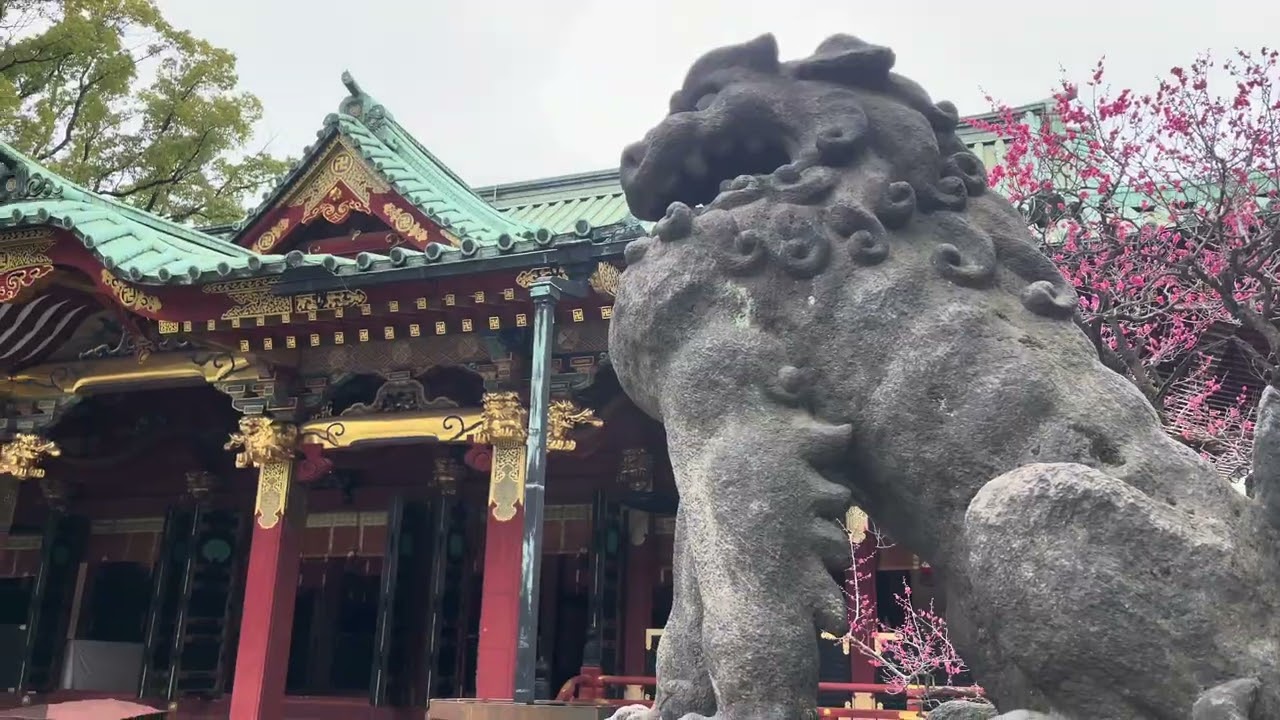 【神の域 #0015】中国人観光客が減ってから、この人気の神社はどんな様子になったのでしょうか。在中国游客减少之后，这个热门的旅游神社变成了什么样？