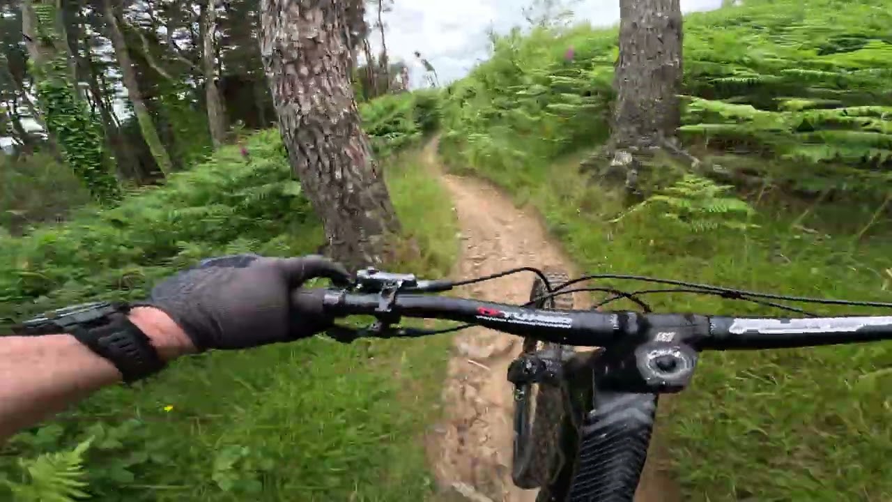 Cwm Carn - June 2024