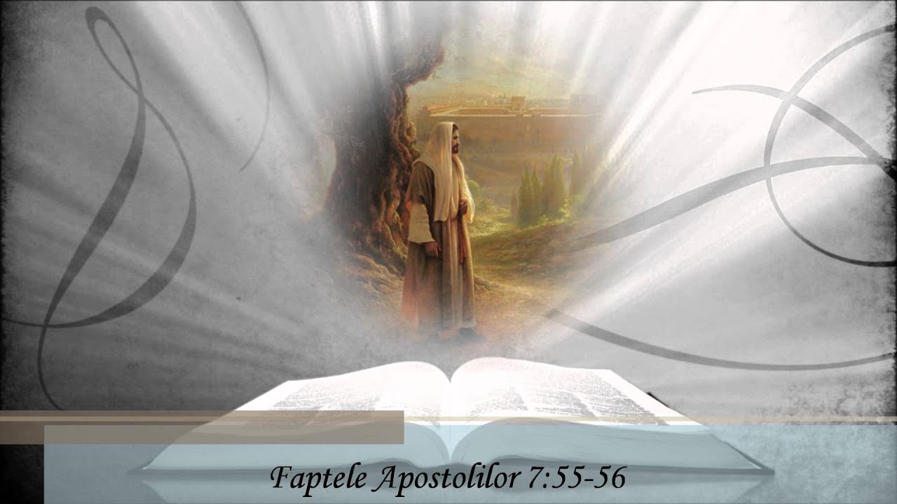 Nicu Wagner - Stefan