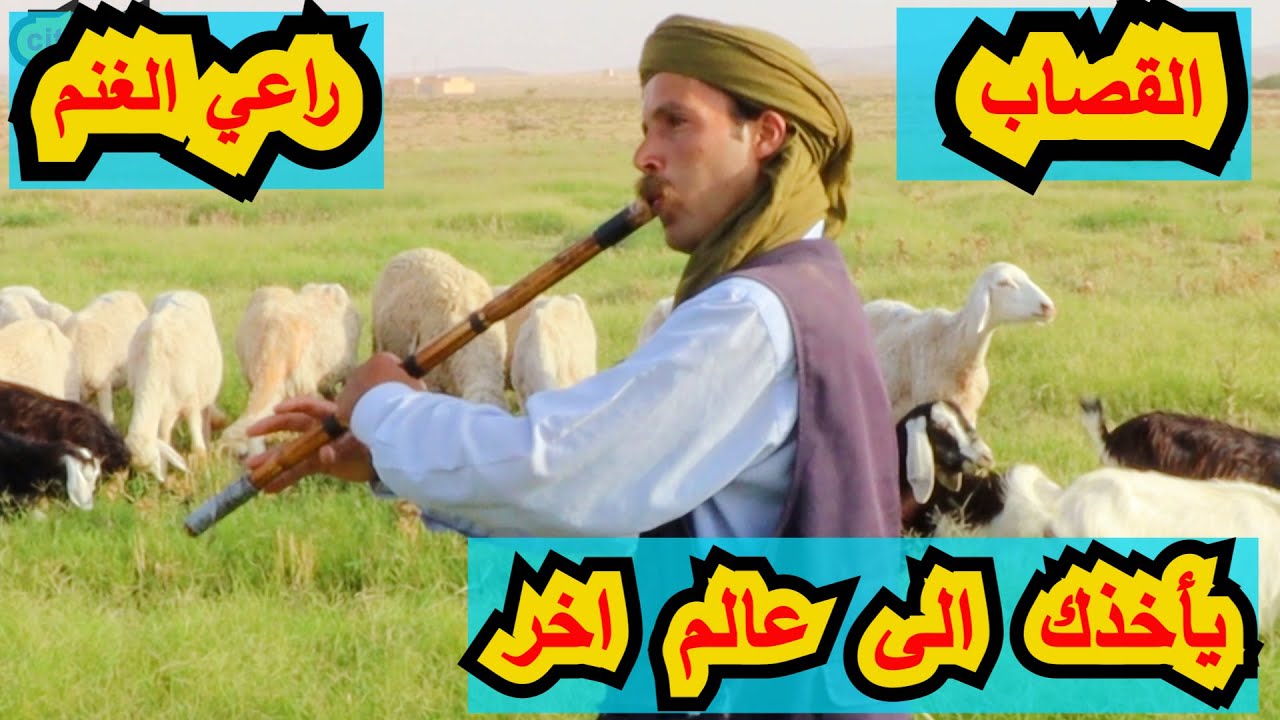 جولة مع الصحراوي والقصبة راعي الغنم  يأخذك الى عالم اخر  روعة الطبيعة