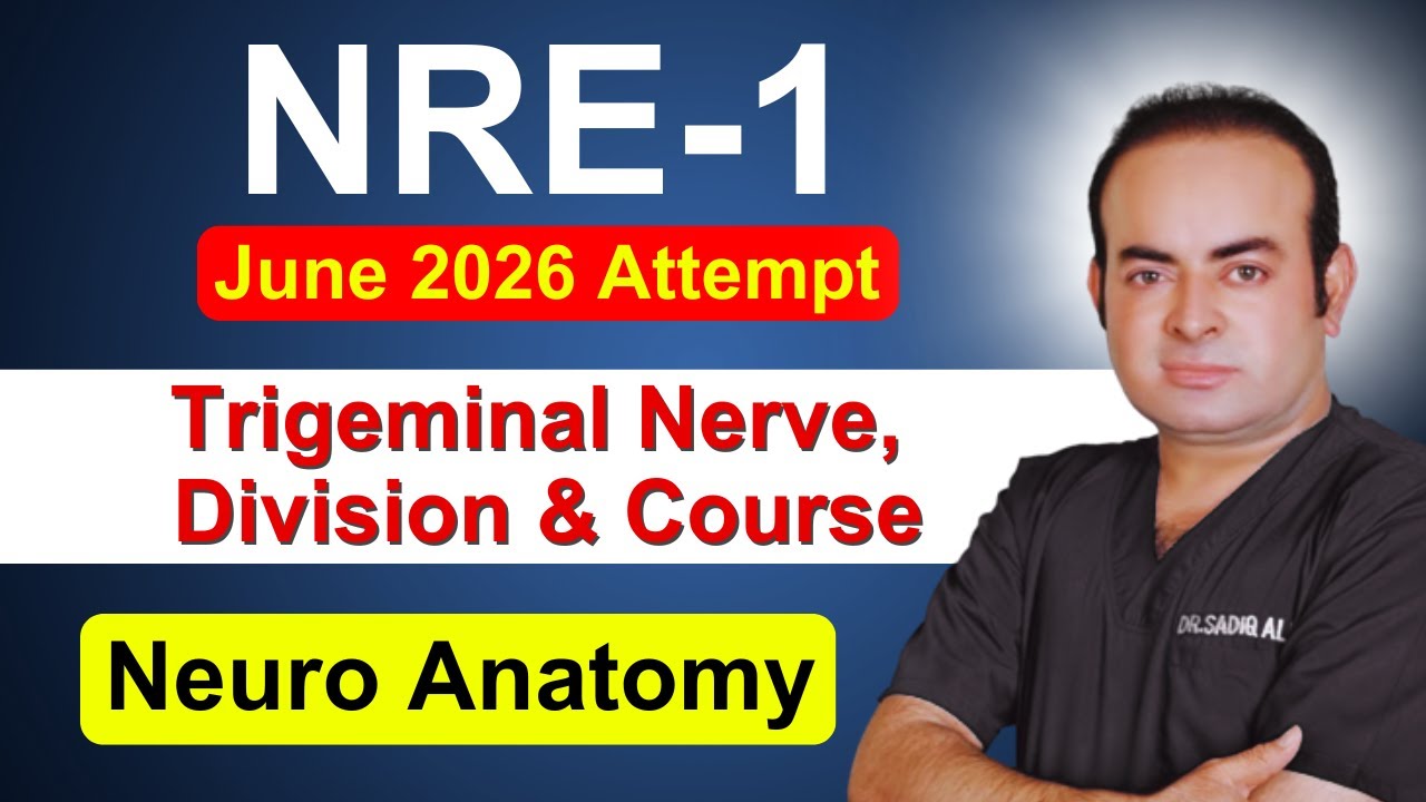 NRE-1 | Neuro Anatomy | Trigeminal Nerve  Division and Course