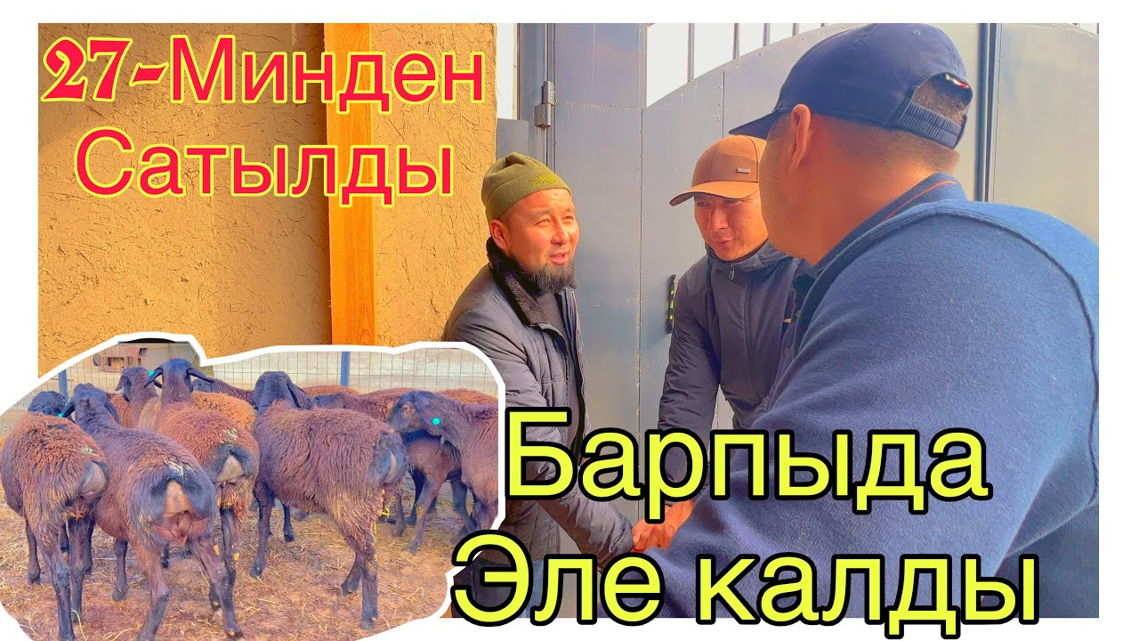 💸🔥27-Минден Арзыбек ака алды эрте Мен чыгардык эле 
