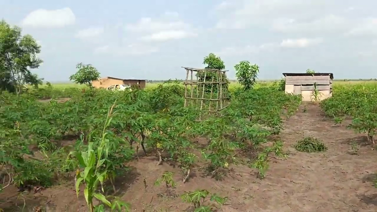 Belle parcelle à vendre dans la c/de maluku village bu route fatshi 50m/50m 5000$ +243810217497