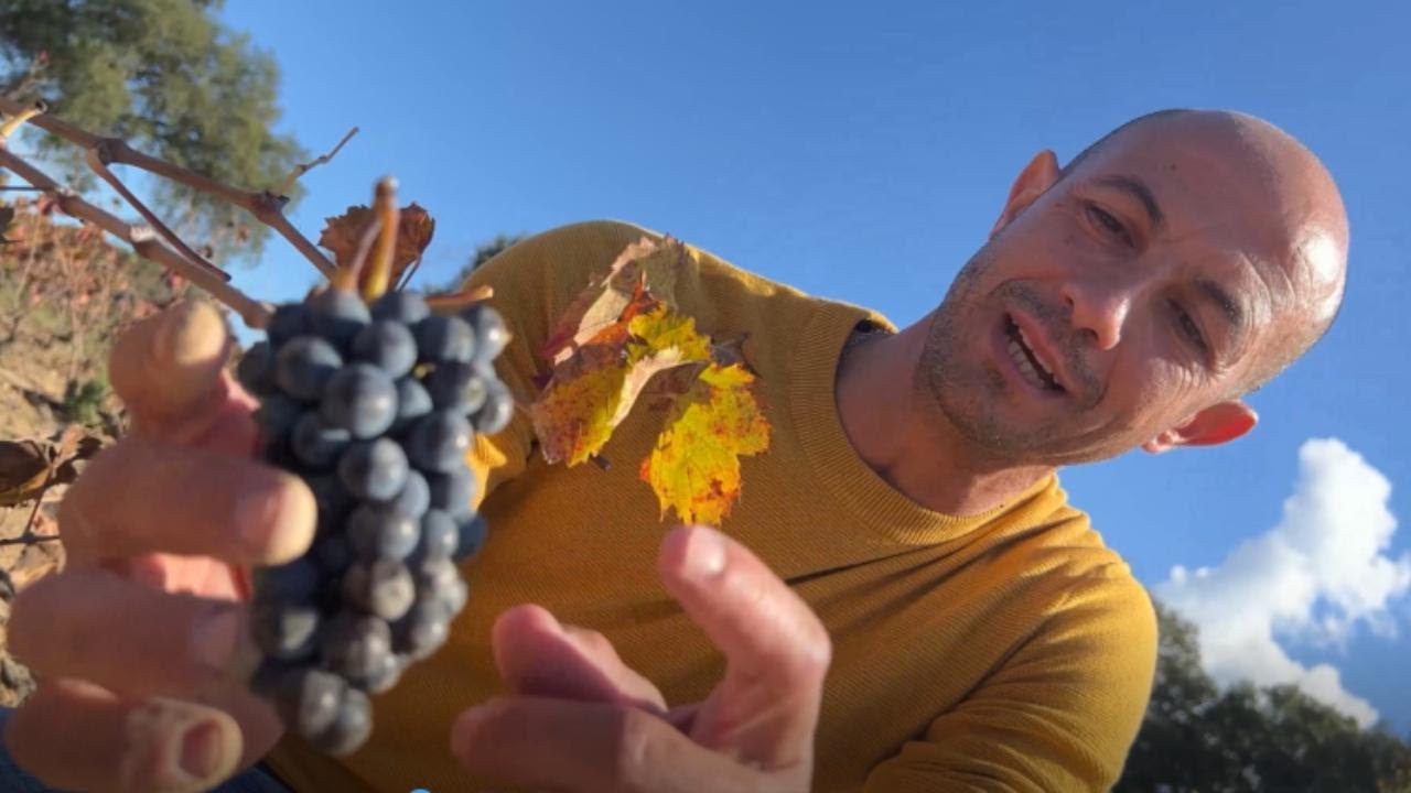 In vigna con Enrico Esu: 