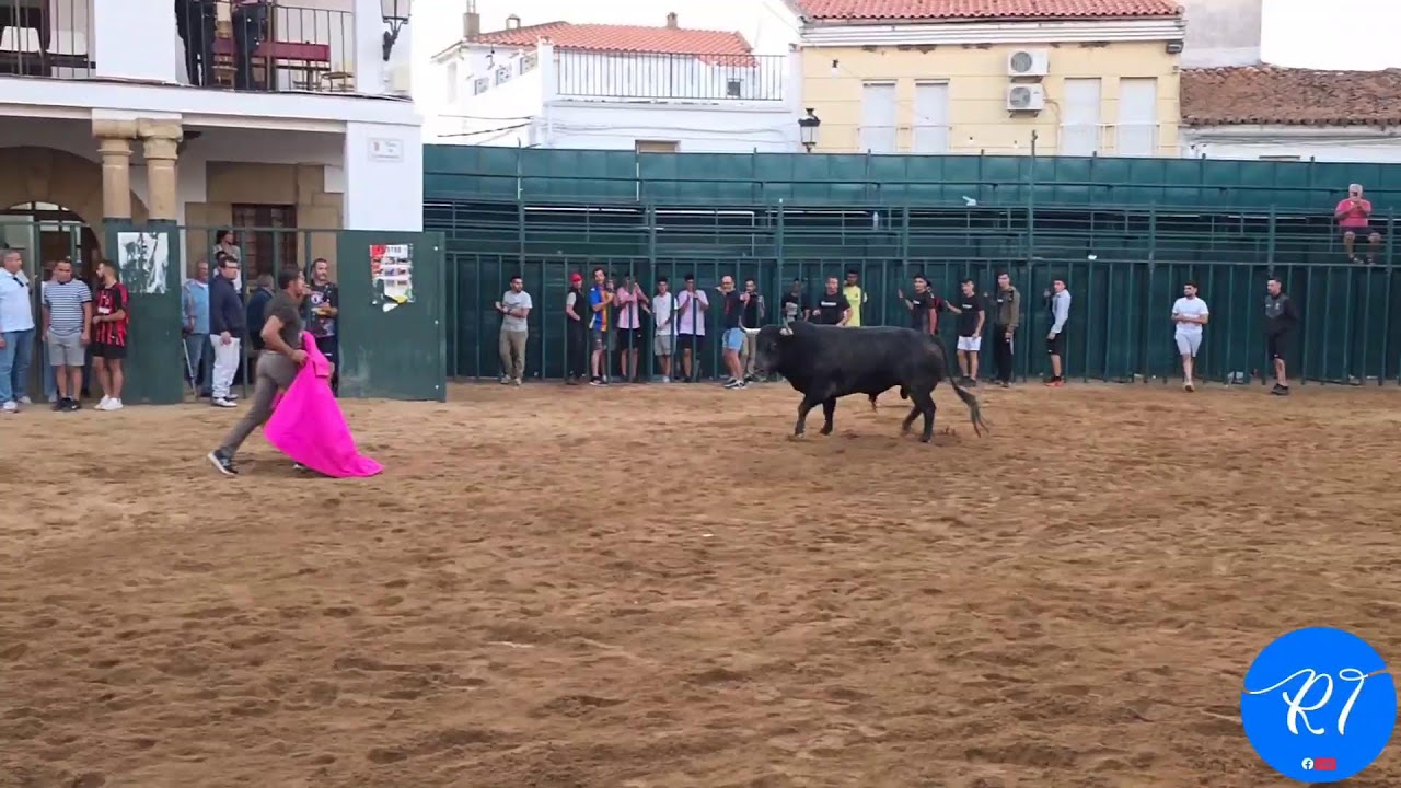 Los Cristos, Calzadilla (Cáceres) Suelta de 1 toro de Carmen Valiente. 22/09/2025