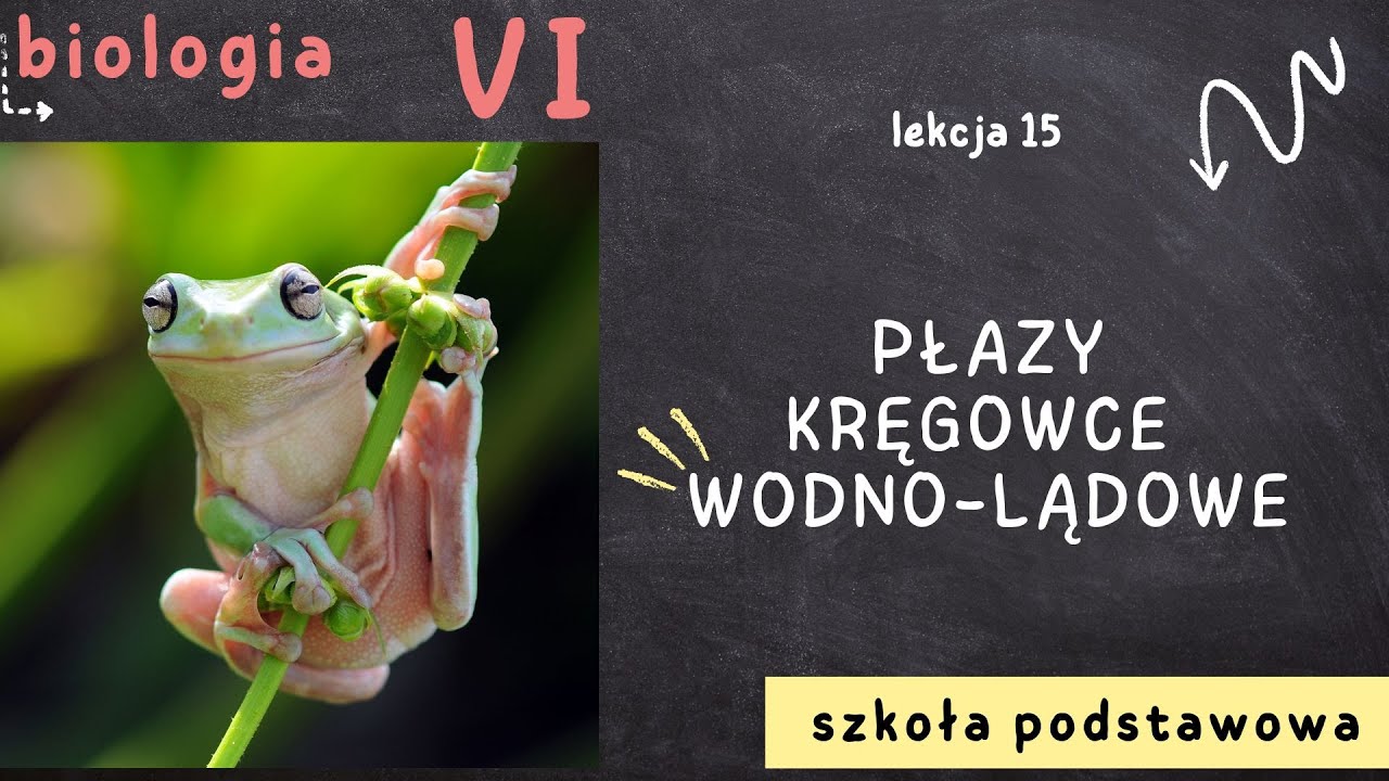 Biologia klasa 6 [Lekcja 15 - Płazy - kręgowce wodno-lądowe]