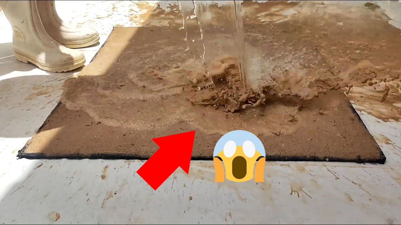 ASMR Carpet Cleaning: How to Clean Dirty Rugs Like a Pro