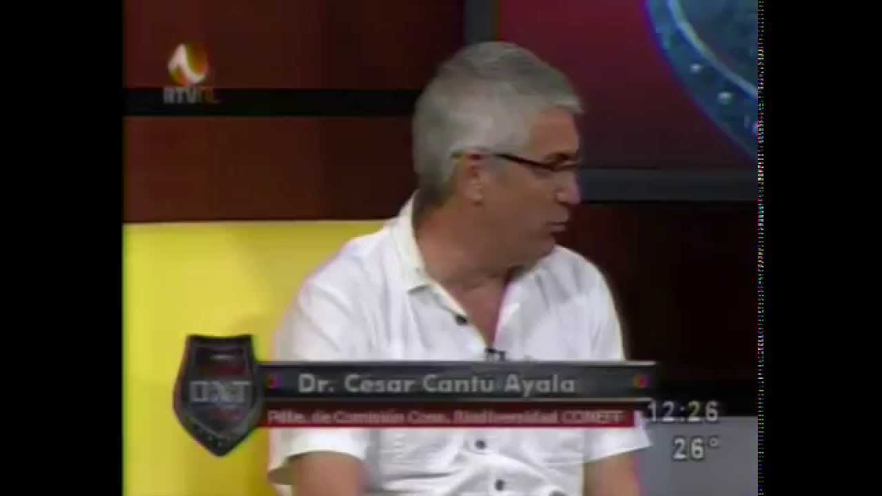 Entrevista en Todo DXT - RTVNL (21/06/2015)