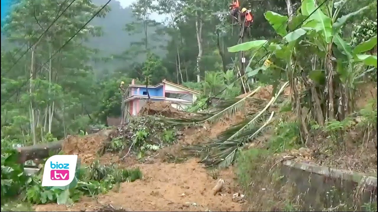 Panen Bencana, Longsor Di Salah Satu Dusun Kecamatan Munjungan Trenggalek Lebih Dari 30 Titik - bioz
