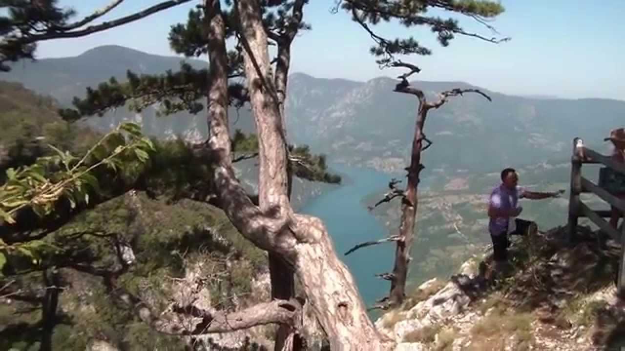 Tara Mountain Part 3: Banjska stena