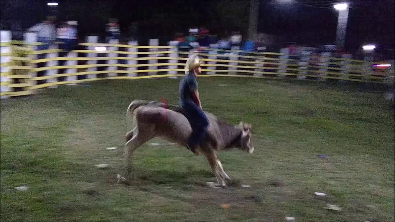 jaripeo ranchero celebrado en Ixcatepec, Ver  lll