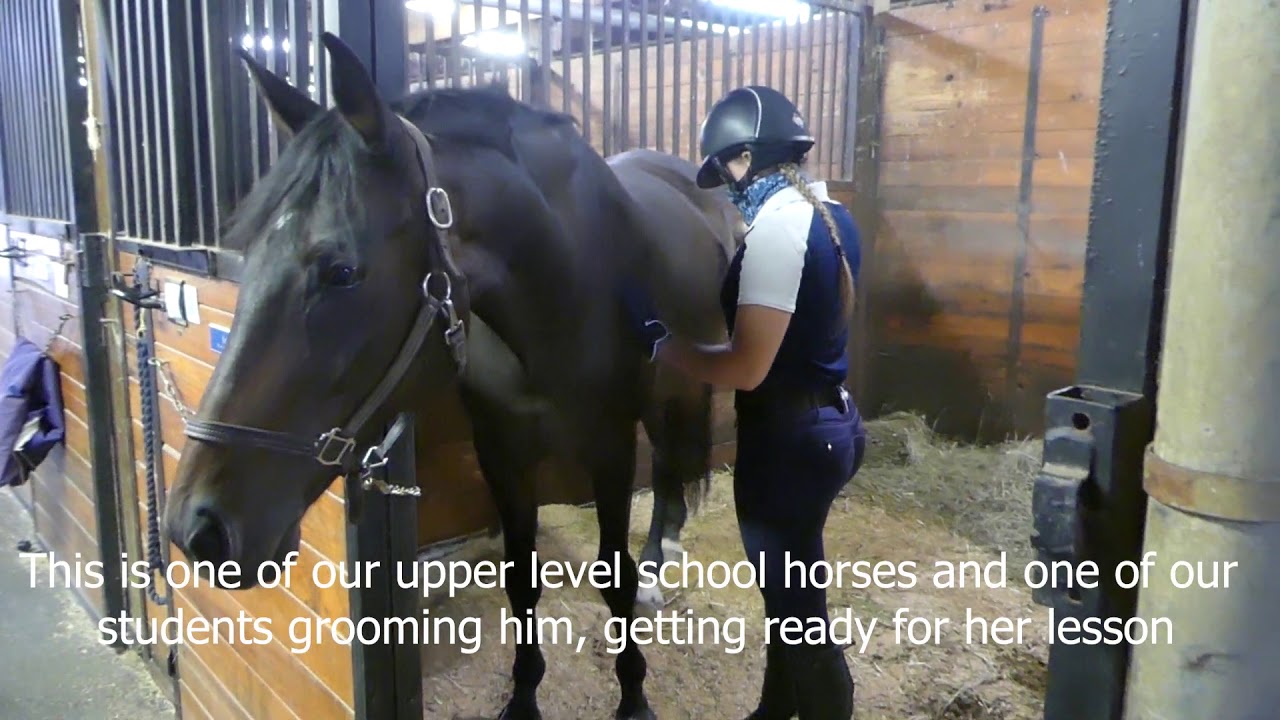 Mount Holyoke College Equestrian Center Tour