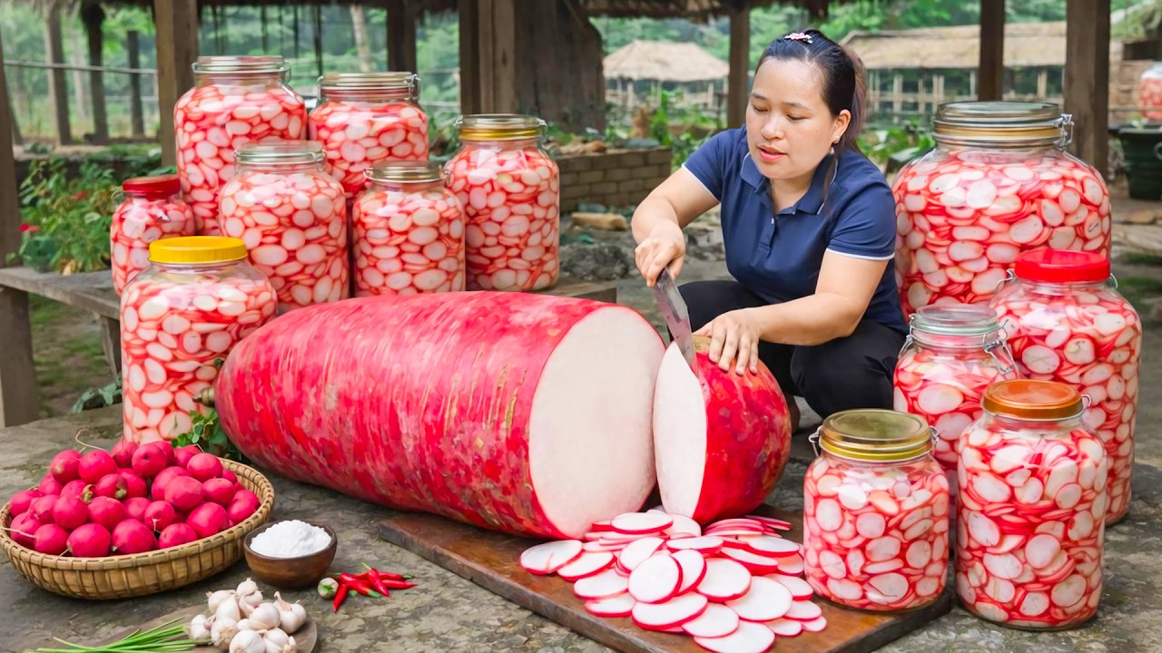 How to Make Pickled RED Radish for Tet Holiday - Harvest Giant Red Radish to Cook and Sell at Market