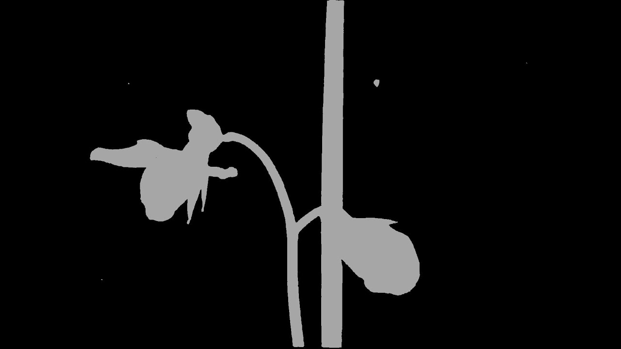 GABO FERRO & SERGIO CH. - REGRESARE
