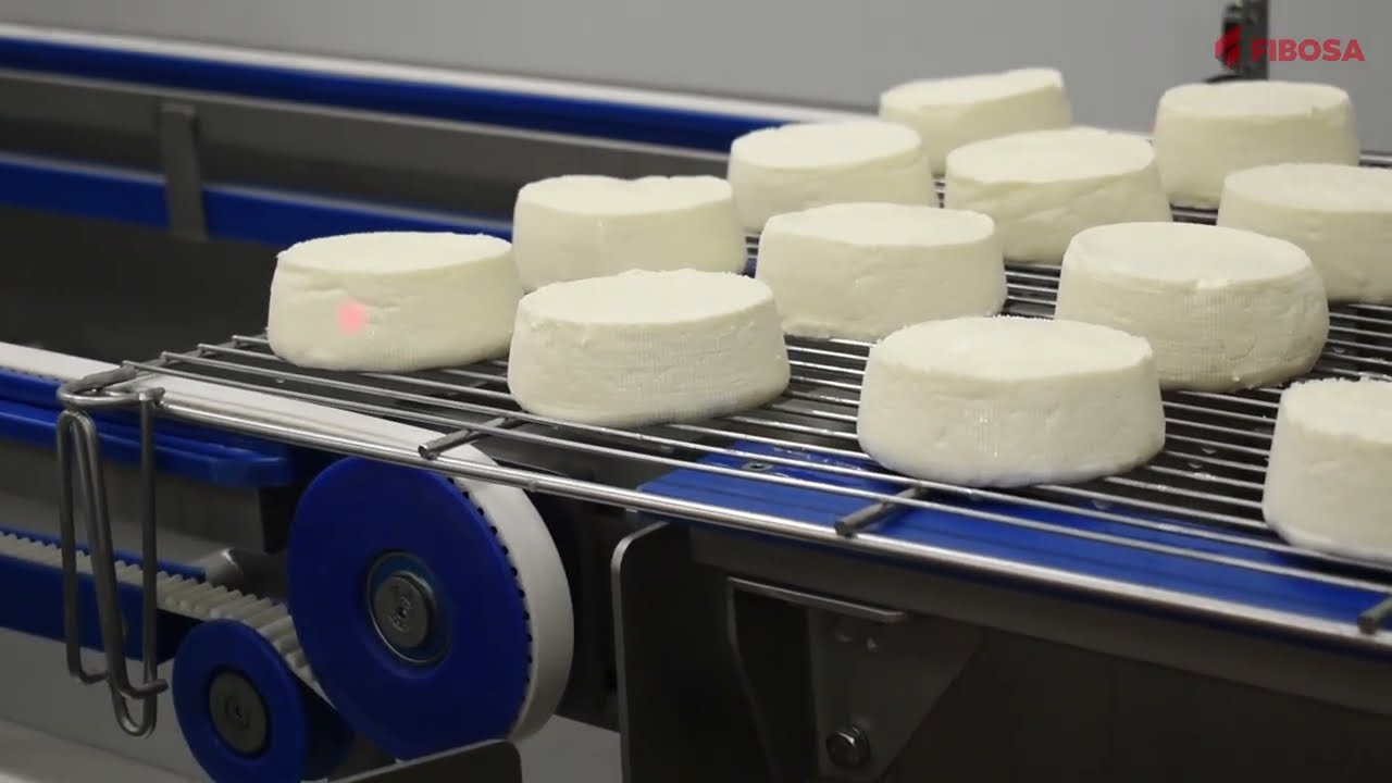 Salting tunnel for fresh and soft cheese - Túnel de salado de queso fresco | FIBOSA