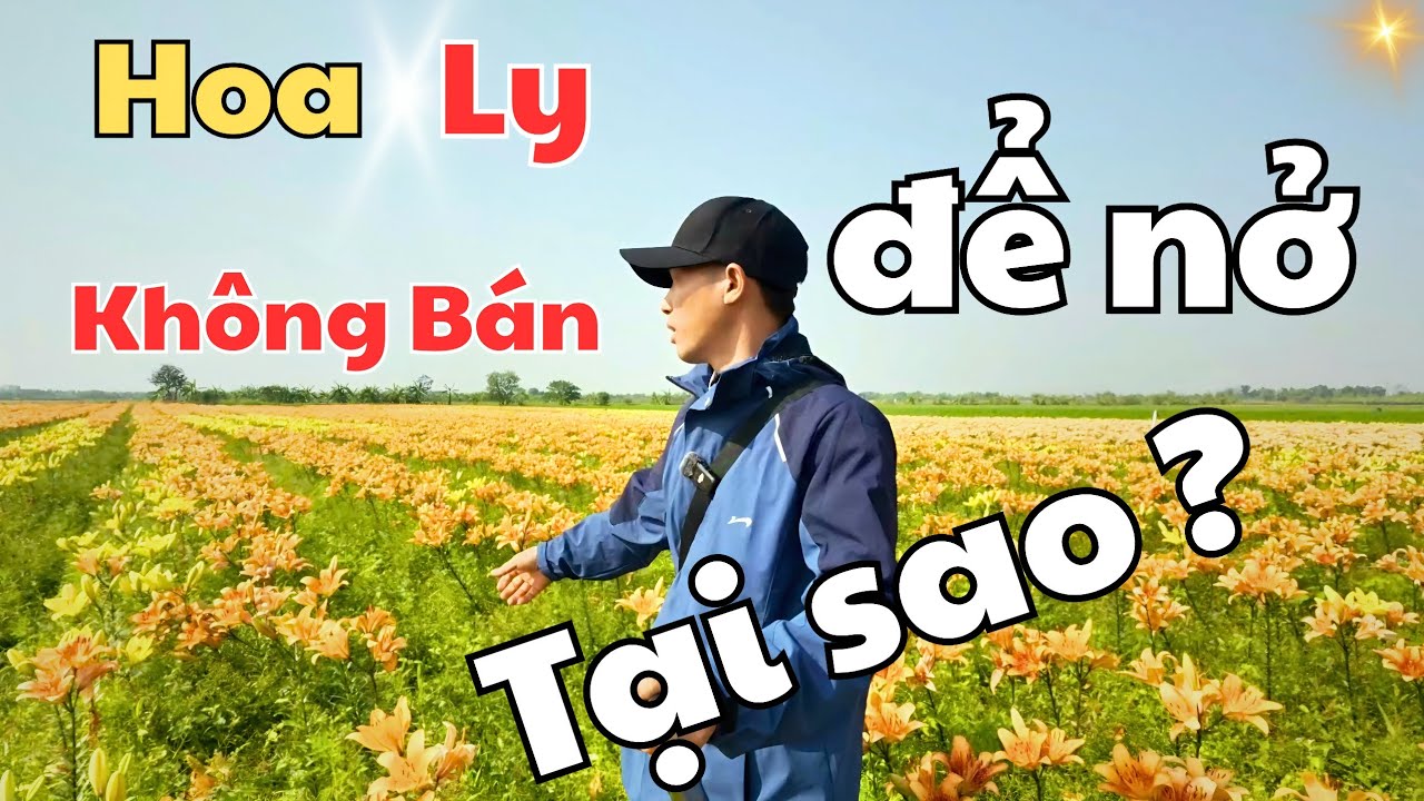 Nông dân để Hoa Ly 