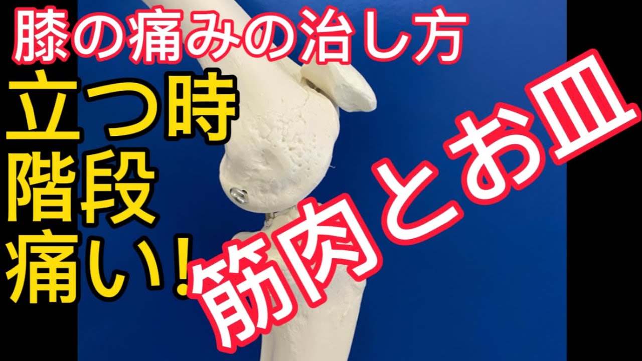膝痛の治し方！階段登ると痛い！立ち上がると痛い！そんな人にはこれです【滋賀県彦根市　整体　自費リハビリのヘルスプロ】