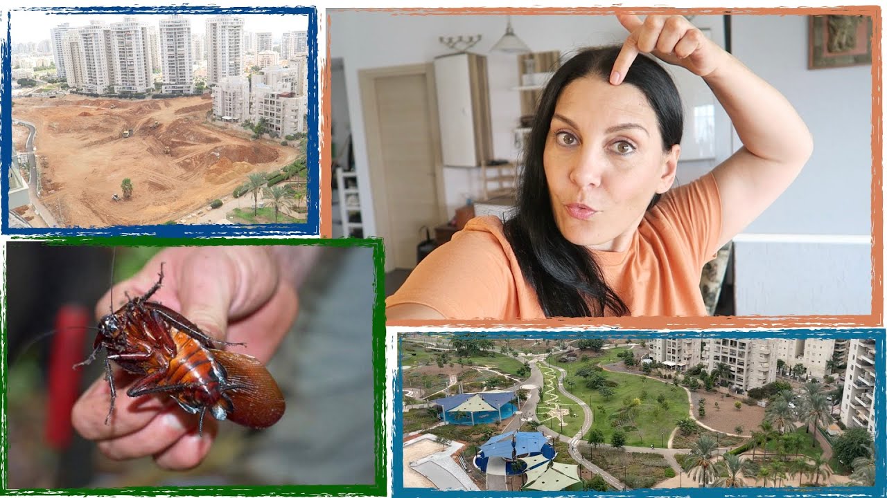❤️ИЗРАИЛЬ❤️ ТАРАКАНЫ ДОМА 😱 ЖИЗНЬ СОБАЧЬЯ