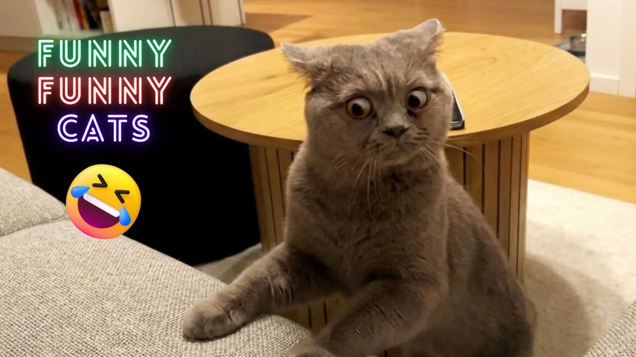 Cats Failing Hilariously 😹 Funniest Cat Fails Compilation | Viral Moments