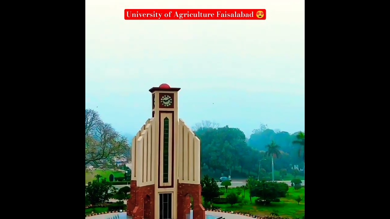 University of Agriculture Faisalabad 😍 | UAF | UAF Beauty   #agricultureuniversity #uaf