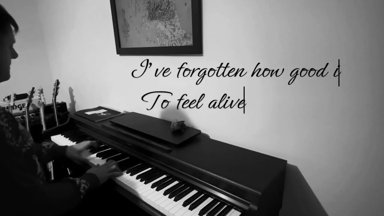 Biffy Clyro - Machines (instrumental piano cover), with lyrics.