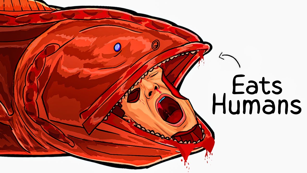 Why it Sucks To Be Born As a Whalefish