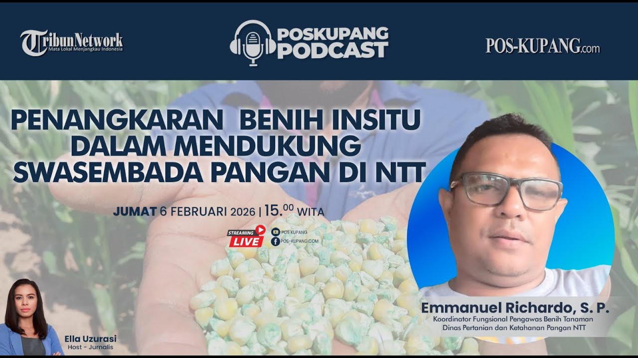 PENANGKARAN BENIH INSITU DALAM MENDUKUNG SWASEMBADA PANGAN DI NTT | PKPODCAST