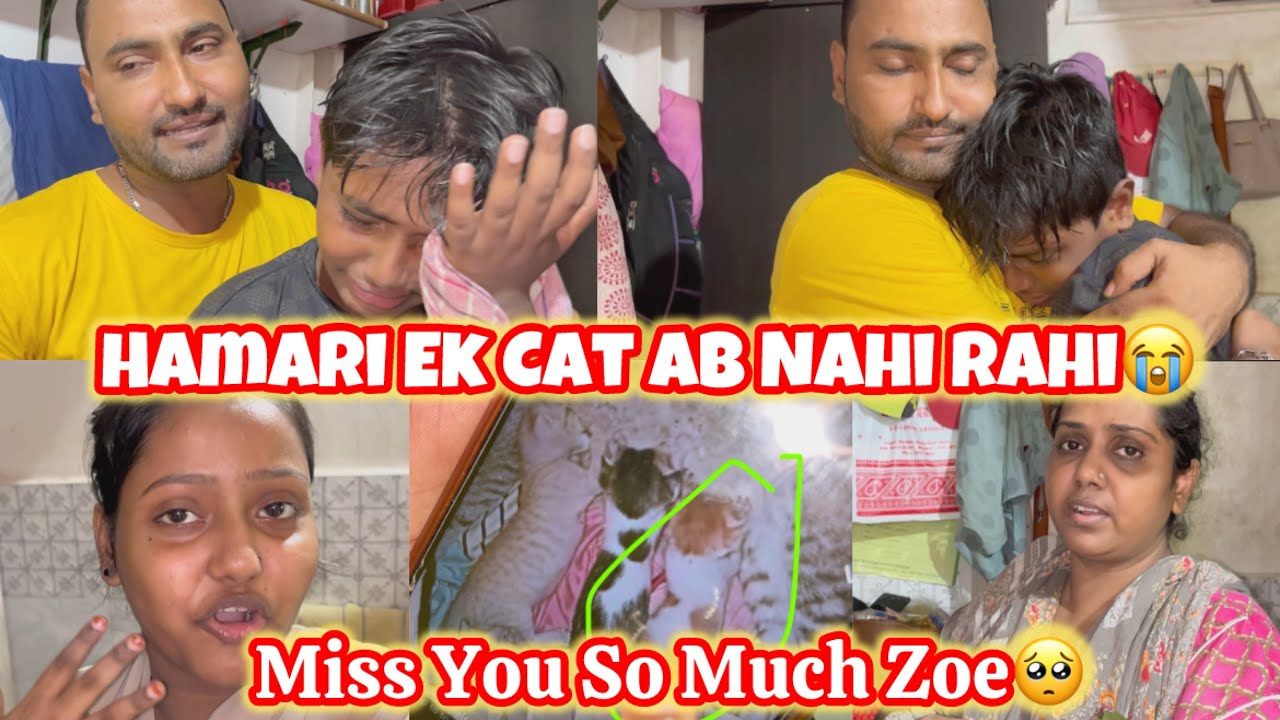 Hamari Ek Cat Ab Nahi Rahi😭| Miss You So Much Zoe🥺| ShehzadFamilyVlog