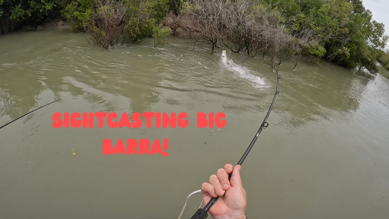 The Best Barra Fishing We've EVER Caught on Video!