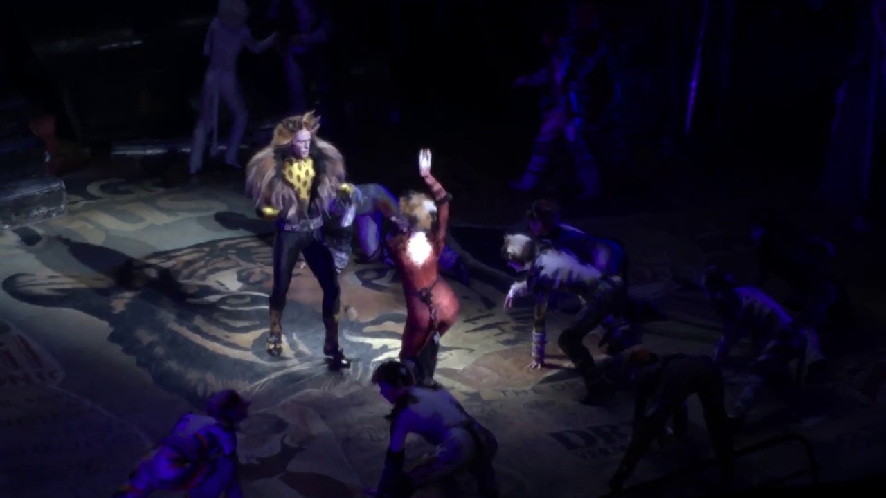 Sam Lips - Rum Tum Tugger