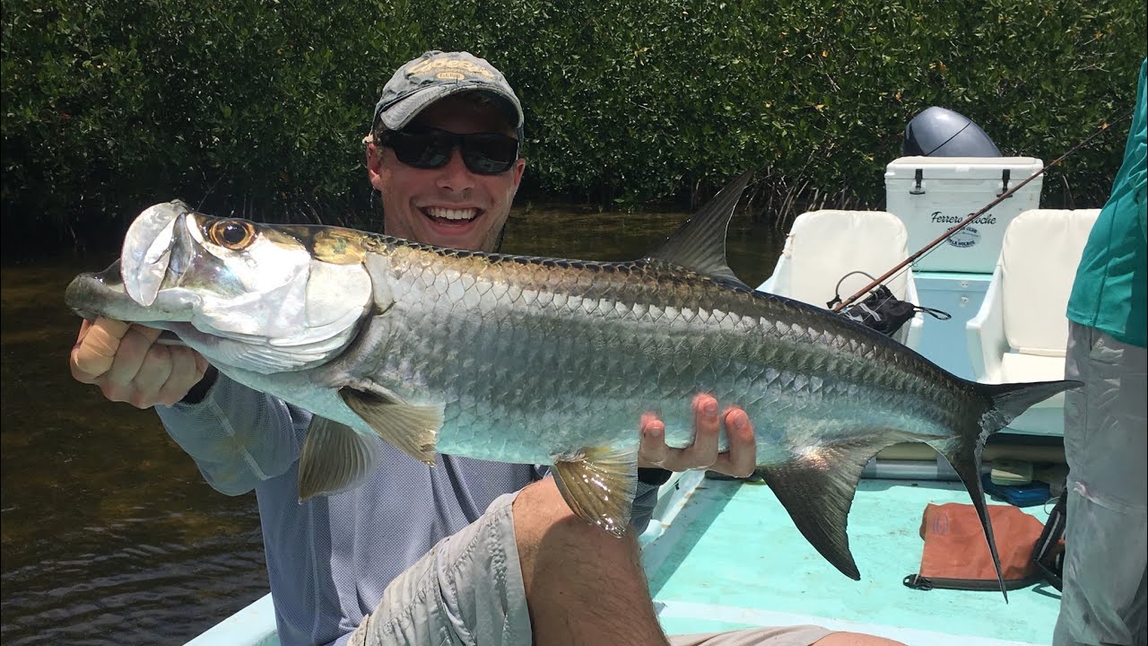 Go-to Fly for Baby Tarpon : Two Materials!
