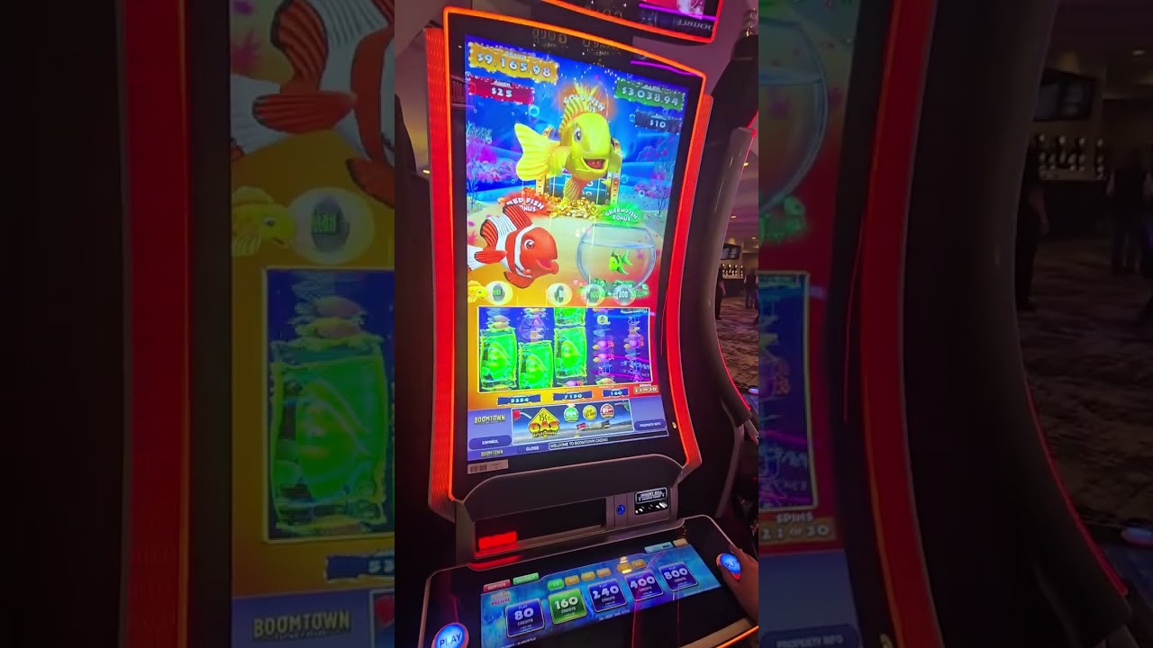 Goldfish Super BONUS ACTION 