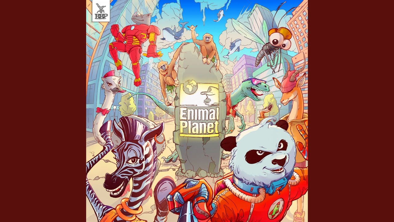 Zebra Tribe