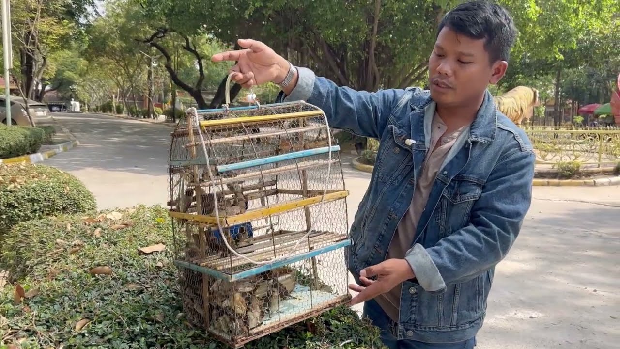 លែងចាបមួយទ្រុង លែងសត្វក៏មានអ្នកជេដែរ