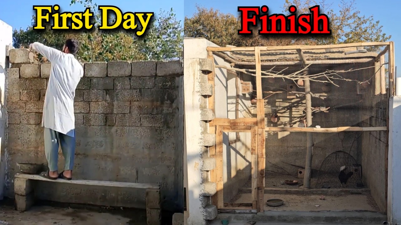 DIY Aviary Construction: Start to Finish | Low Cost Build & Bird Release 🌱